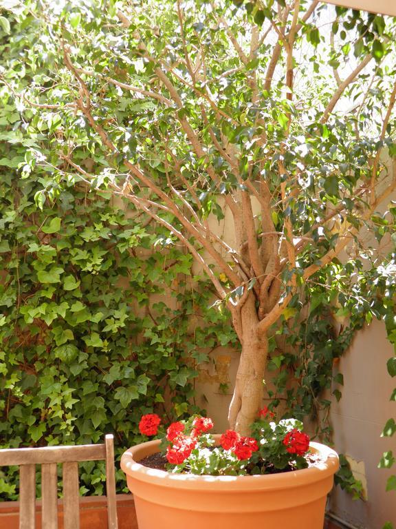 Suitur Courtyard Apartment Барселона Экстерьер фото